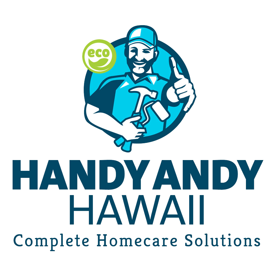 handy-andy