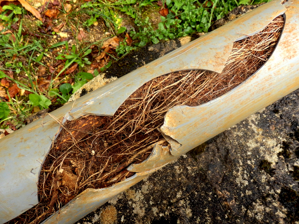 Split drainage pipe