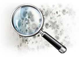 Mold Detection Services 2